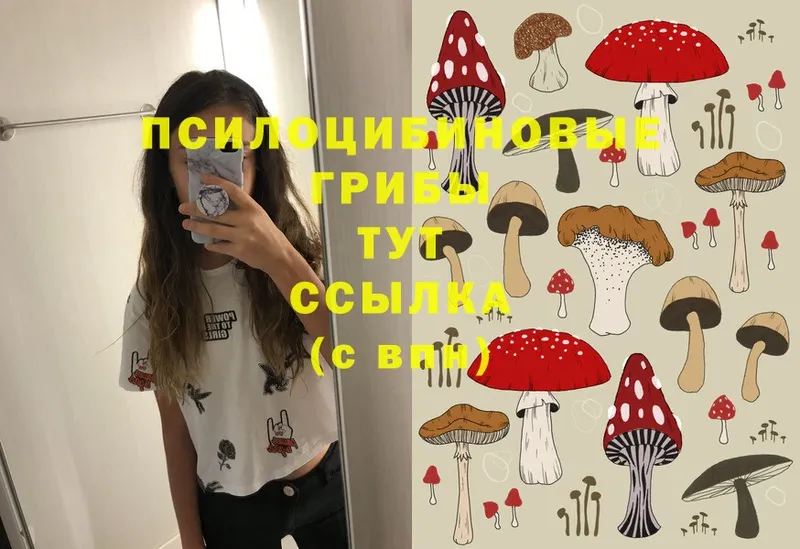 Галлюциногенные грибы Magic Shrooms Старая Русса